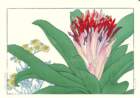 22 photo22_small.jpg